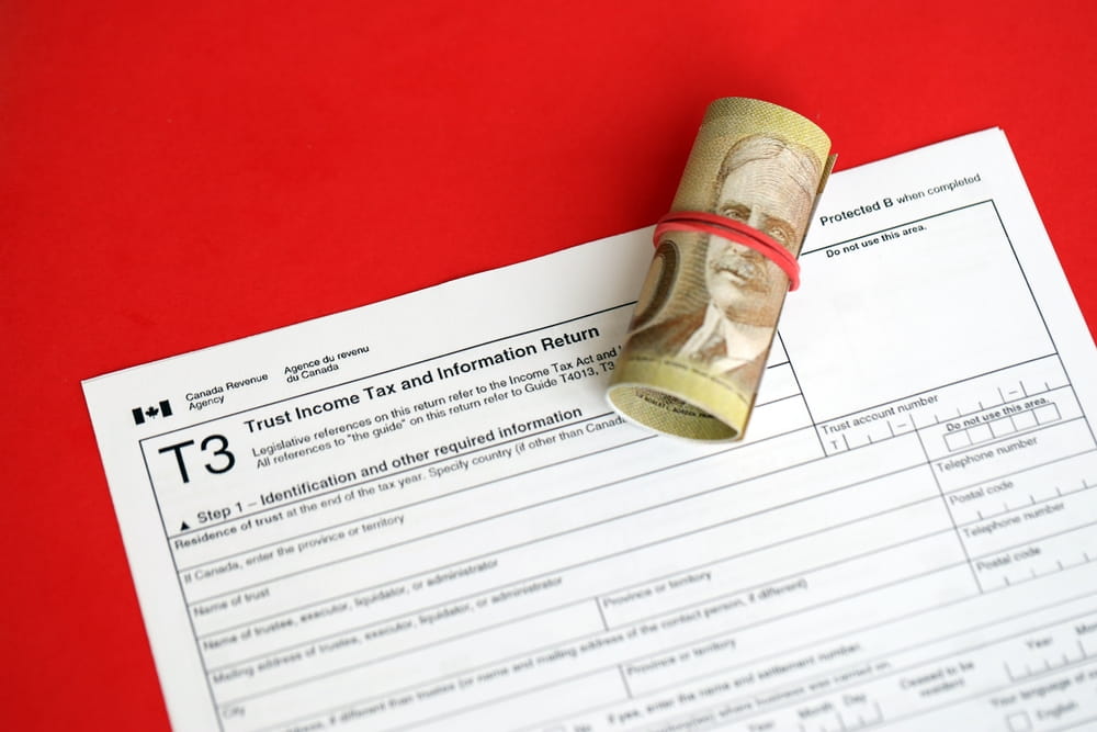 Accountant in Canada (1)